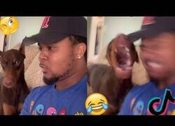 Enlace a Ladrando a sus perros y grabando su reacción