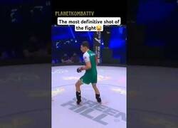 Enlace a Luchador de MMA noquea al árbitro por error