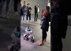 Enlace a Reportera se carga un robot después de destacar su resistencia