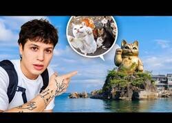 Enlace a Explorando la isla abandonada con más gatos del mundo