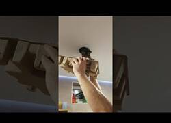 Enlace a Rescatando a un gato atrapado en el conducto de ventilación