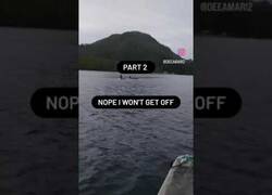 Enlace a Una foca se sube a un bote huyendo de las orcas asesinas
