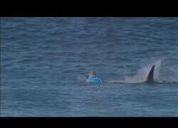 Enlace a El día que un tiburón atacó a un surfista en plena competición