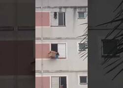 Enlace a En Brasil salvan a un perro que iba a caer desde una ventana con una caja de cartón