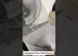 Enlace a Creando una trampa para mosquitos con un ventilador y una luz ultravioleta