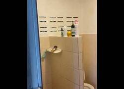 Enlace a Un lagarto siembra el caos en un lavabo