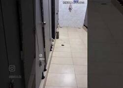 Enlace a El váter-columpio no es tan buena idea como parece