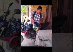 Enlace a Gato troll tira un huevo dentro del casco de su dueño