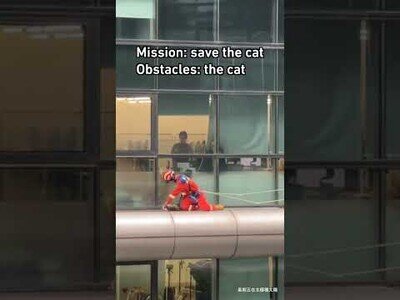 Cuando quieres salvar al gato pero no te lo pone fácil