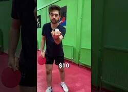 Enlace a Comparando palas de ping pong caras y baratas