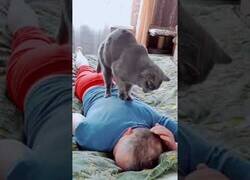 Enlace a El gato masajista
