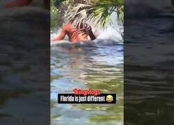 Enlace a En Florida son las personas quienes asustan a los cocodrilos