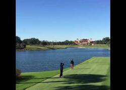 Enlace a Golfista se carga un ganso de un bolazo