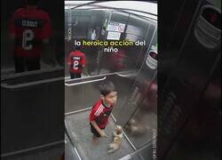Enlace a Los buenos reflejos de este chico salvaron a su perro