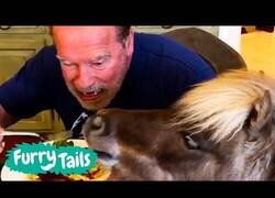 Enlace a Arnold Schwarzenegger comparte su almuerzo con su burro