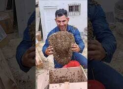 Enlace a El tipo que se apellida Colmenero