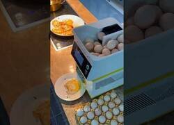 Enlace a Esta máquina rompe huevos y prepara omelettes al instante
