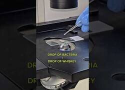 Enlace a Gota de whiskey vs millones de bacterias