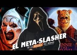 Enlace a ¿Qué es el Meta-Slasher?