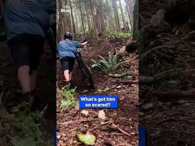 Ciclista de descenso tiene un encuentro con un oso en la montaña