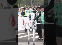 Enlace a La primera media maratón para robots humanoides