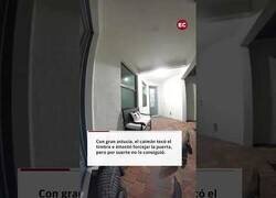 Enlace a Cuando dos caimanes llaman a tu puerta