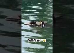 Enlace a Titanic: Versión Tortugas