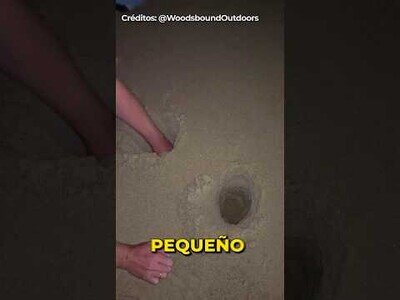 Un truco para hacer fuego de acampada