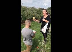 Enlace a Cuando te piden matrimonio pero de primeras no te lo crees