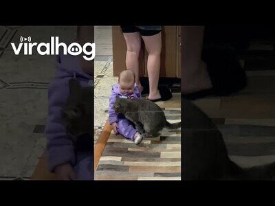 Gato hace de niñera y calma a un bebé que no paraba de llorar