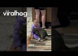 Enlace a Gato hace de niñera y calma a un bebé que no paraba de llorar