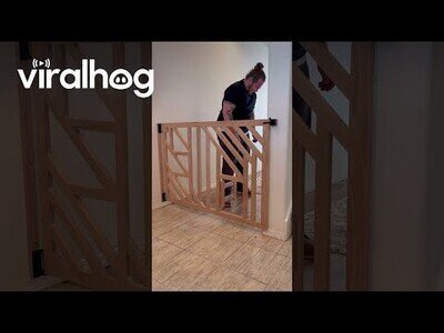 Cuando te pasas horas construyendo esta gatera para que tu gato se la pase por el forro