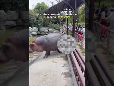 El cuidador del zoo sabía lo que se venía