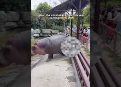 Enlace a El cuidador del zoo sabía lo que se venía