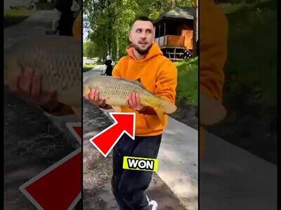Este pez logra escapar tras ser pescado