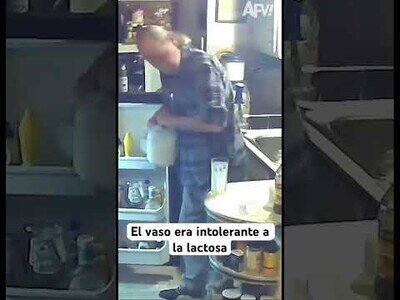 El vaso era intolerante a la lactosa