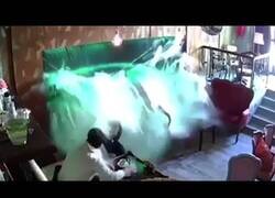 Enlace a Acuario de una cafetería explota sin motivo aparente