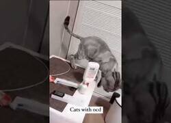 Enlace a Recopilación de gatos con TOC