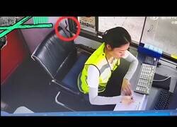 Enlace a Una compañera de trabajo inesperada