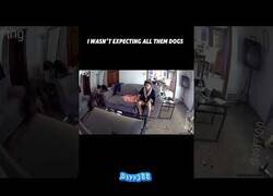 Enlace a Cuando cuelgas tu televisor pero las paredes son de papel