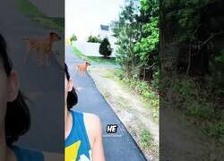 Enlace a ¿Con quién decidirá irse: con papa o con mamá?