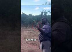 Enlace a Este guía de Safari muestra cómo actuar delante de un rinoceronte