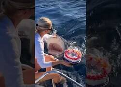 Enlace a Cuando tienes un invitado inesperado en tu cumpleaños