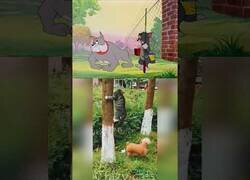 Enlace a La realidad se inspiró en Tom y Jerry