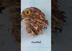 Enlace a Cuando la perspectiva lo es todo