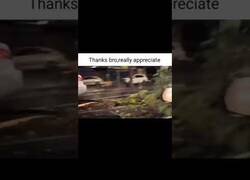 Enlace a Gracias por despejar el camino