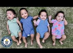 Enlace a Los cuatrillizos más prematuros del mundo