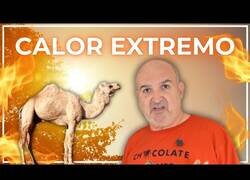 Enlace a ¿Es verdad que siempre ha hecho tanto calor?
