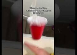 Enlace a Cuando no te prestan atención y activas el modo gato