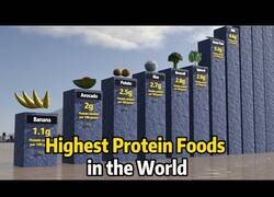 Enlace a Los alimentos más altos en proteína del mundo